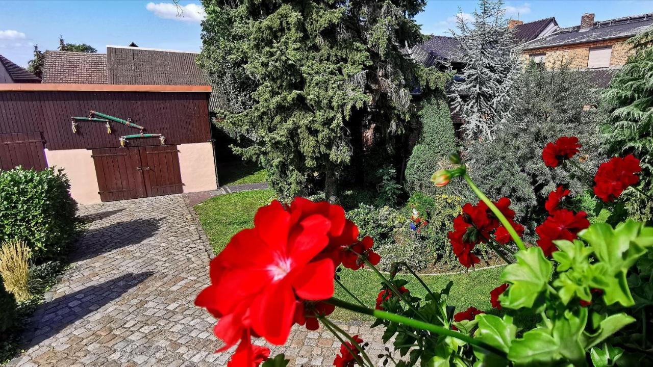 Ferienwohnungen Dirk Laurisch Radensdorf Экстерьер фото